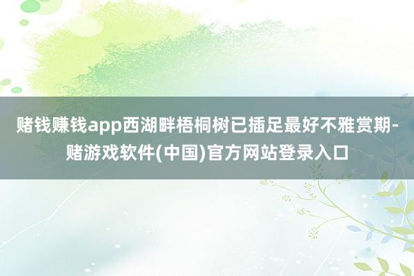 赌钱赚钱app西湖畔梧桐树已插足最好不雅赏期-赌游戏软件(中国)官方网站登录入口