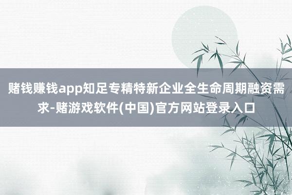赌钱赚钱app知足专精特新企业全生命周期融资需求-赌游戏软件(中国)官方网站登录入口