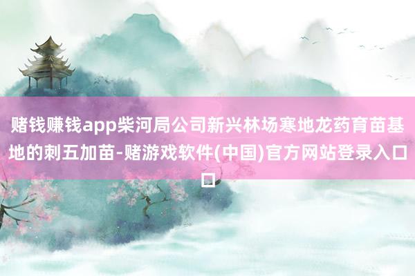 赌钱赚钱app柴河局公司新兴林场寒地龙药育苗基地的刺五加苗-赌游戏软件(中国)官方网站登录入口