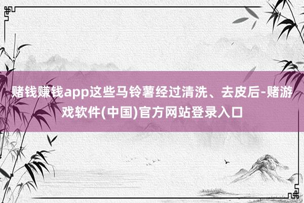 赌钱赚钱app这些马铃薯经过清洗、去皮后-赌游戏软件(中国)官方网站登录入口