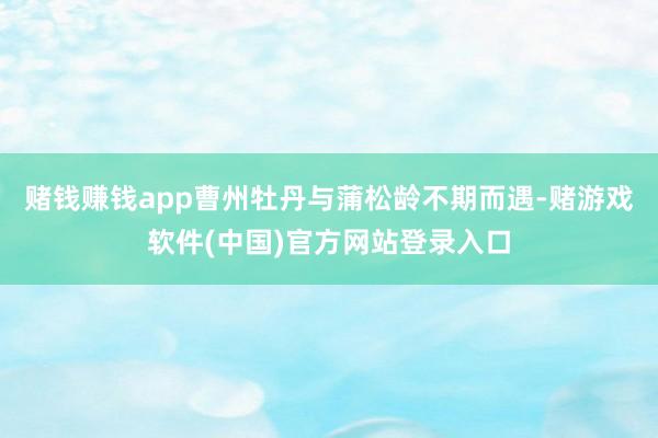 赌钱赚钱app　　曹州牡丹与蒲松龄不期而遇-赌游戏软件(中国)官方网站登录入口
