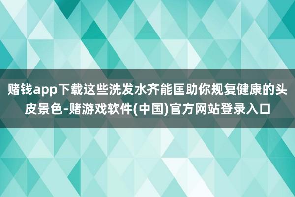 赌钱app下载这些洗发水齐能匡助你规复健康的头皮景色-赌游戏软件(中国)官方网站登录入口