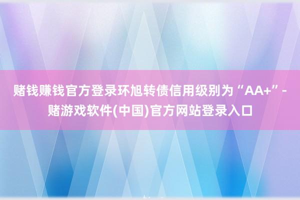 赌钱赚钱官方登录环旭转债信用级别为“AA+”-赌游戏软件(中国)官方网站登录入口