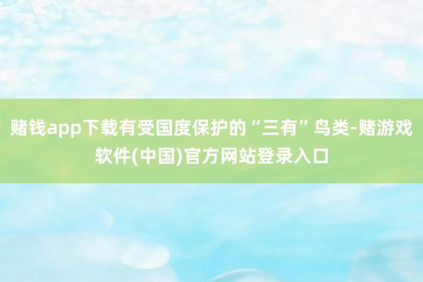赌钱app下载有受国度保护的“三有”鸟类-赌游戏软件(中国)官方网站登录入口