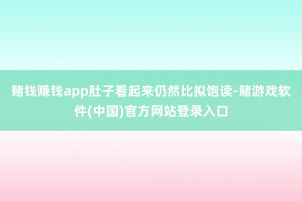 赌钱赚钱app肚子看起来仍然比拟饱读-赌游戏软件(中国)官方网站登录入口
