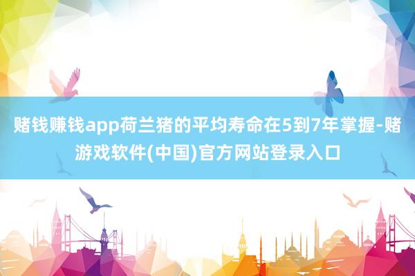 赌钱赚钱app荷兰猪的平均寿命在5到7年掌握-赌游戏软件(中国)官方网站登录入口